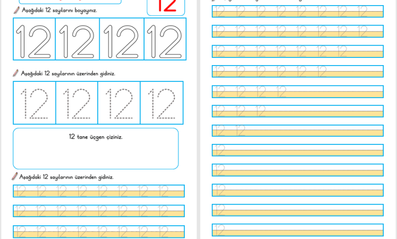 12 Sayısı Öğretimi (Yeni Müfredata Uygun)