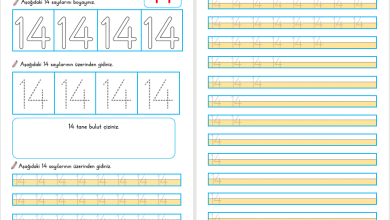 14 Sayısı Öğretimi (Yeni Müfredata Uygun)
