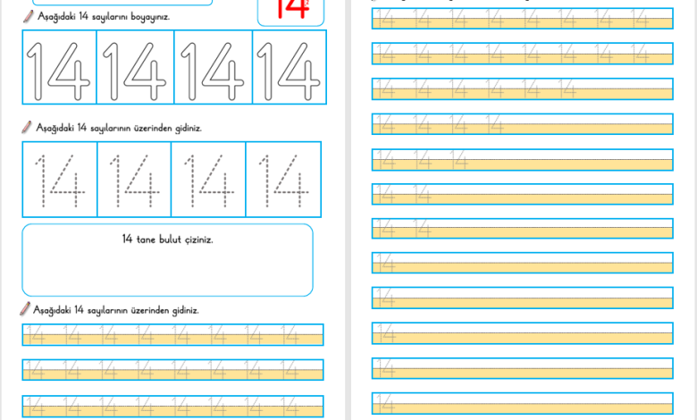 14 Sayısı Öğretimi (Yeni Müfredata Uygun)