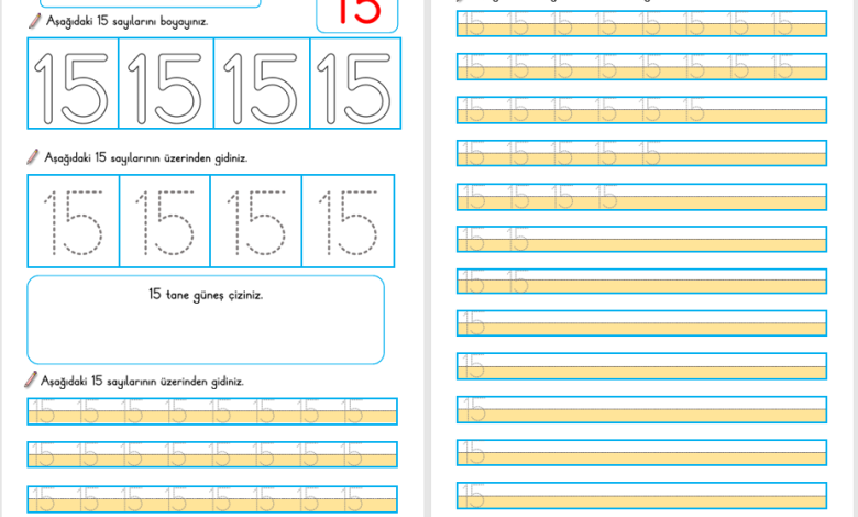 15 Sayısı Öğretimi (Yeni Müfredata Uygun)