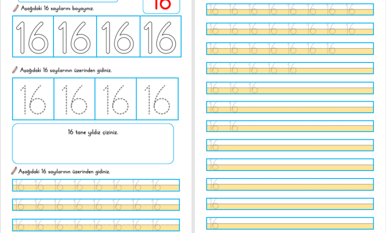 16 Sayısı Öğretimi (Yeni Müfredata Uygun)