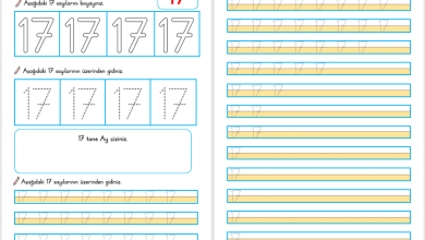 17 Sayısı Öğretimi (Yeni Müfredata Uygun)