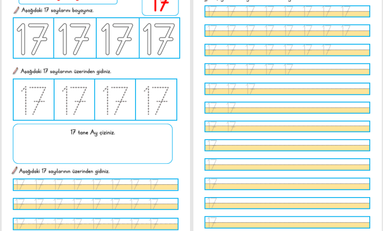 17 Sayısı Öğretimi (Yeni Müfredata Uygun)