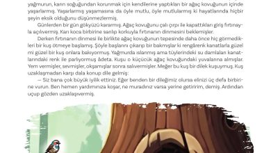 5. Sınıf Meb Yayınları Türkçe 1. Kitap Ders Kitabı Sayfa 181 Cevapları