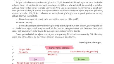 5. Sınıf Meb Yayınları Türkçe 1. Kitap Ders Kitabı Sayfa 179 Cevapları