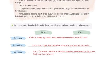 5. Sınıf Meb Yayınları Türkçe 1. Kitap Ders Kitabı Sayfa 175 Cevapları