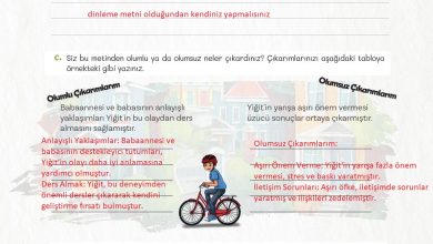 5. Sınıf Meb Yayınları Türkçe 1. Kitap Ders Kitabı Sayfa 173 Cevapları