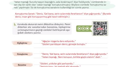 5. Sınıf Meb Yayınları Türkçe 1. Kitap Ders Kitabı Sayfa 166 Cevapları