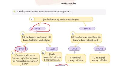 5. Sınıf Meb Yayınları Türkçe 1. Kitap Ders Kitabı Sayfa 163 Cevapları