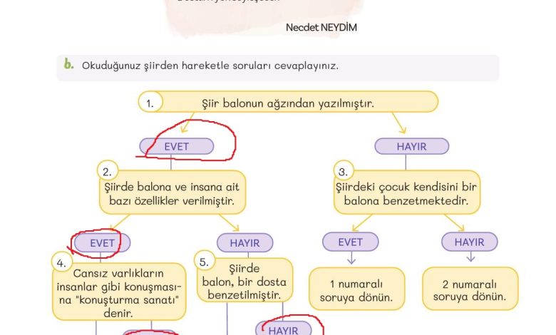 5. Sınıf Meb Yayınları Türkçe 1. Kitap Ders Kitabı Sayfa 163 Cevapları