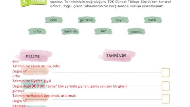 5. Sınıf Meb Yayınları Türkçe 1. Kitap Ders Kitabı Sayfa 161 Cevapları