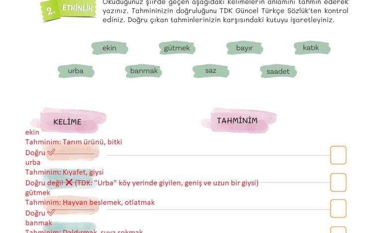 5. Sınıf Meb Yayınları Türkçe 1. Kitap Ders Kitabı Sayfa 161 Cevapları