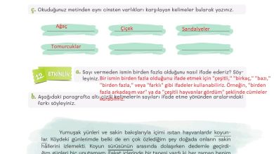 5. Sınıf Meb Yayınları Türkçe 1. Kitap Ders Kitabı Sayfa 159 Cevapları