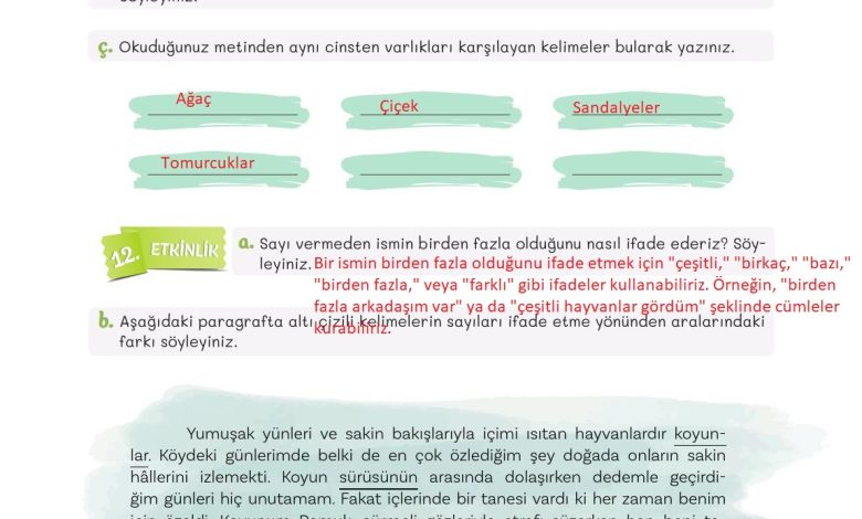 5. Sınıf Meb Yayınları Türkçe 1. Kitap Ders Kitabı Sayfa 159 Cevapları