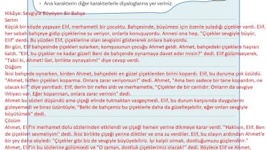 5. Sınıf Meb Yayınları Türkçe 1. Kitap Ders Kitabı Sayfa 157 Cevapları