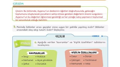 5. Sınıf Meb Yayınları Türkçe 1. Kitap Ders Kitabı Sayfa 156 Cevapları