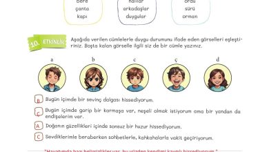 5. Sınıf Meb Yayınları Türkçe 1. Kitap Ders Kitabı Sayfa 144 Cevapları