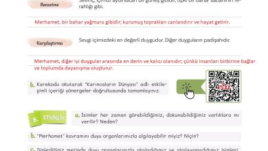 5. Sınıf Meb Yayınları Türkçe 1. Kitap Ders Kitabı Sayfa 143 Cevapları