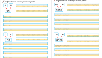 E Sesi Hece Yazma Etkinlikleri (Yeni Müfredata Uygun)