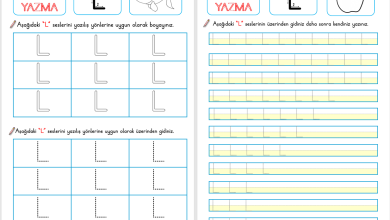 L Sesi Okuma ve Yazma Etkinliği (Yeni Müfredata Uygun)