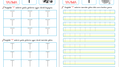 T Sesi Okuma ve Yazma Etkinliği (Yeni Müfredata Uygun)