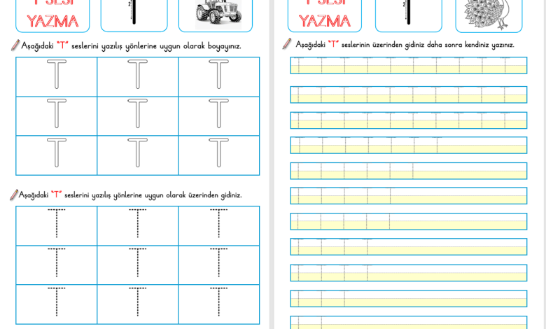 T Sesi Okuma ve Yazma Etkinliği (Yeni Müfredata Uygun)