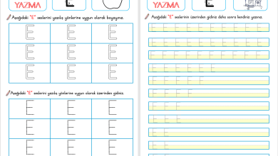 E Sesi Okuma ve Yazma Etkinliği (Yeni Müfredata Uygun)