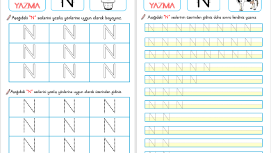 N Sesi Okuma ve Yazma Etkinliği (Yeni Müfredata Uygun)