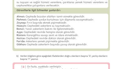 5. Sınıf Meb Yayınları Türkçe 1. Kitap Ders Kitabı Sayfa 132 Cevapları