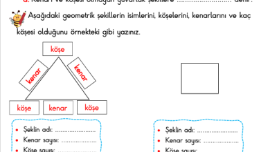 1. Sınıf Geometrik Şekiller Konu Anlatımı ve Etkinlikleri