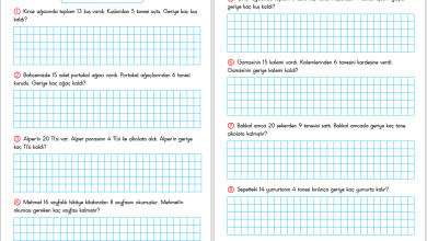 1. Sınıf Çıkarma İşlemi Problemleri – 2