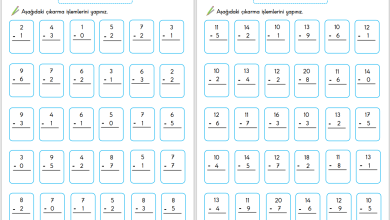 1. Sınıf Çıkarma İşlemi Etkinliği – 3