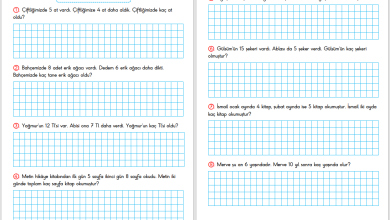 1. Sınıf Toplama İşlemi Problemleri – 2