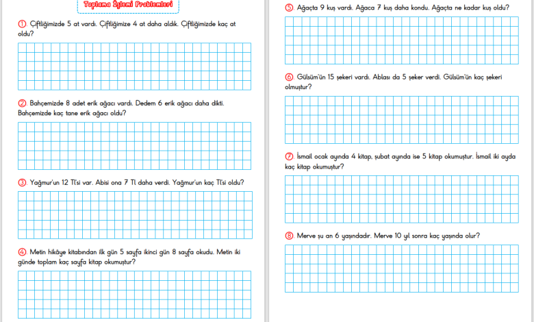 1. Sınıf Toplama İşlemi Problemleri – 2