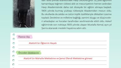 5. Sınıf Meb Yayınları Türkçe 1. Kitap Ders Kitabı Sayfa 117 Cevapları