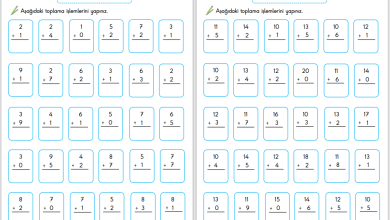 1. Sınıf Toplama İşlemi Etkinliği – 3