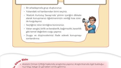 5. Sınıf Meb Yayınları Türkçe 1. Kitap Ders Kitabı Sayfa 113 Cevapları