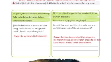 5. Sınıf Meb Yayınları Türkçe 1. Kitap Ders Kitabı Sayfa 112 Cevapları