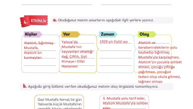 5. Sınıf Meb Yayınları Türkçe 1. Kitap Ders Kitabı Sayfa 105 Cevapları