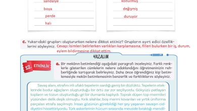 5. Sınıf Meb Yayınları Türkçe 1. Kitap Ders Kitabı Sayfa 88 Cevapları