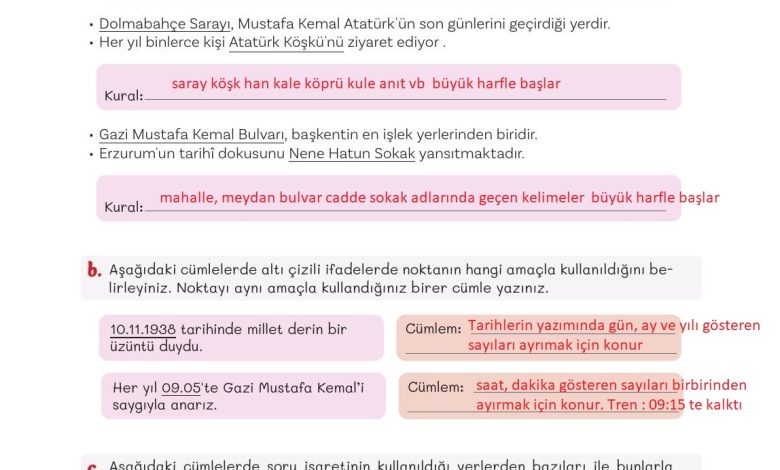 5. Sınıf Meb Yayınları Türkçe 1. Kitap Ders Kitabı Sayfa 87 Cevapları