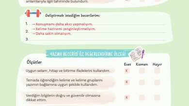 5. Sınıf Meb Yayınları Türkçe 1. Kitap Ders Kitabı Sayfa 78 Cevapları