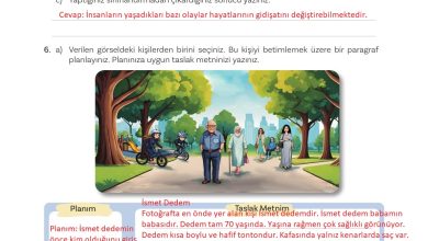 5. Sınıf Meb Yayınları Türkçe 1. Kitap Ders Kitabı Sayfa 77 Cevapları