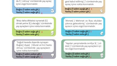 5. Sınıf Meb Yayınları Türkçe 1. Kitap Ders Kitabı Sayfa 69 Cevapları