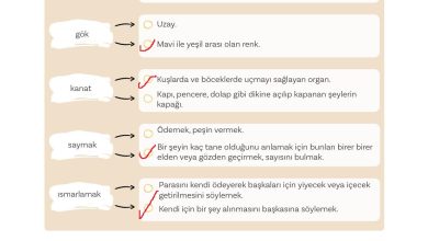 5. Sınıf Meb Yayınları Türkçe 1. Kitap Ders Kitabı Sayfa 56 Cevapları