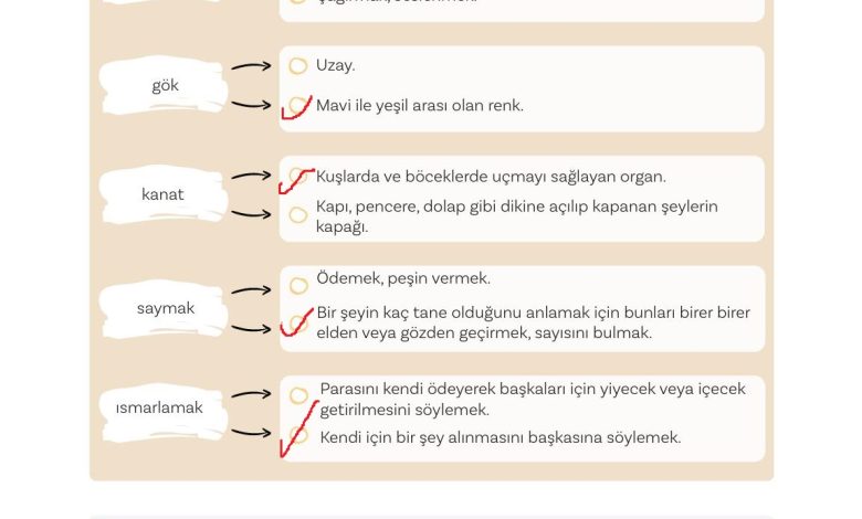 5. Sınıf Meb Yayınları Türkçe 1. Kitap Ders Kitabı Sayfa 56 Cevapları