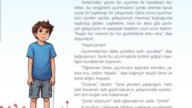 5. Sınıf Meb Yayınları Türkçe 1. Kitap Ders Kitabı Sayfa 55 Cevapları