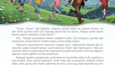 5. Sınıf Meb Yayınları Türkçe 1. Kitap Ders Kitabı Sayfa 54 Cevapları