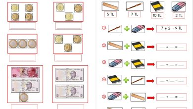 1. Sınıf Paralarımız Konu Anlatımı ve Etkinlikleri