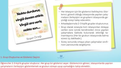 5. Sınıf Meb Yayınları Türkçe 1. Kitap Ders Kitabı Sayfa 46 Cevapları